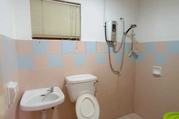 Evergreen Park Acorn and Hazel