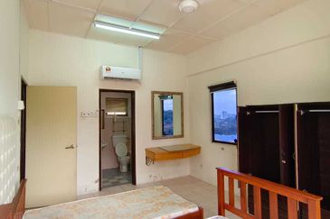 Evergreen Park Acorn and Hazel