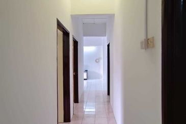 Evergreen Park Acorn and Hazel