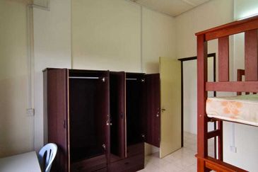 Evergreen Park Acorn and Hazel