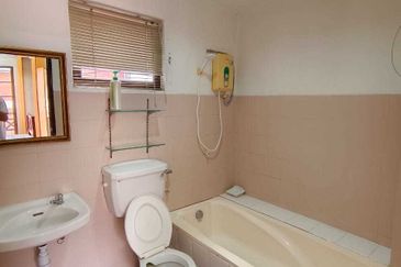 Evergreen Park Acorn and Hazel