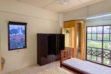 Evergreen Park Acorn and Hazel