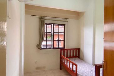 Evergreen Park Acorn and Hazel