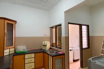 Evergreen Park Acorn and Hazel