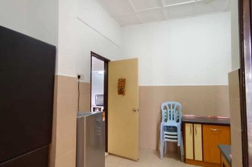 Evergreen Park Acorn and Hazel