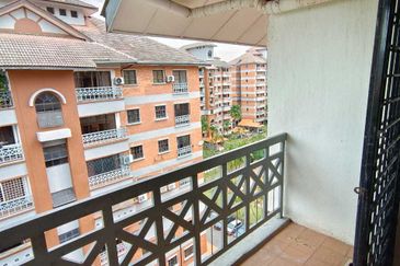 Evergreen Park Acorn and Hazel