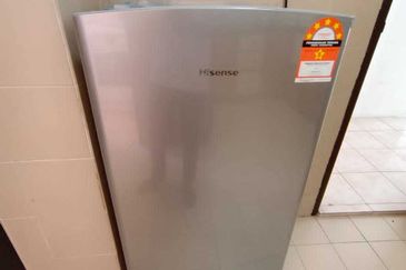 Evergreen Park Acorn and Hazel