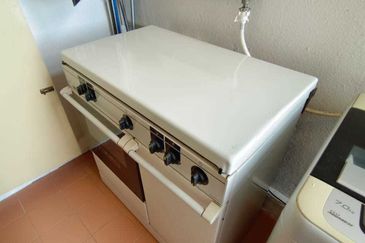 Evergreen Park Acorn and Hazel