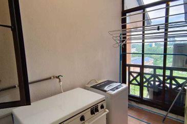 Evergreen Park Acorn and Hazel