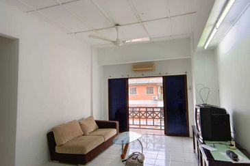 Evergreen Park Acorn and Hazel