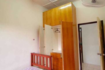 Evergreen Park Acorn and Hazel