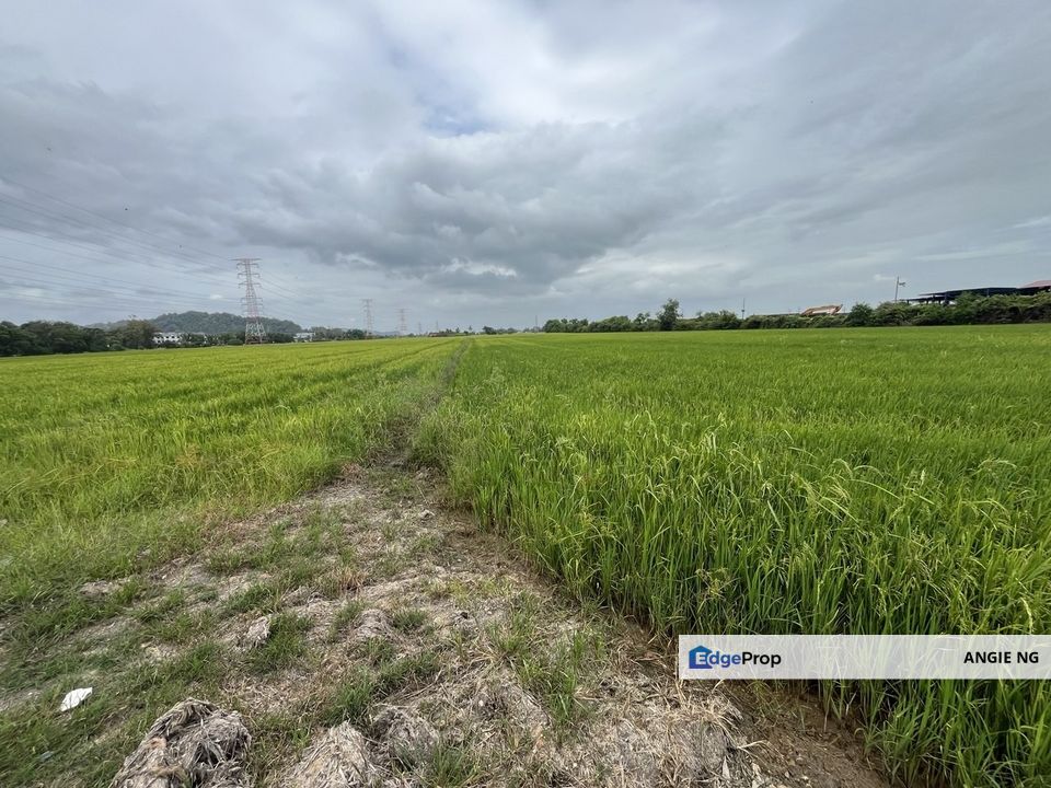 Kampung Kurung Tengar Kuala Perlis Perlis @ Agriculture Land For Sale, Perlis, Kuala Perlis