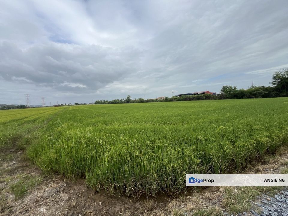 Kampung Kurung Tengar Kuala Perlis Perlis @ Agriculture Land For Sale, Perlis, Kuala Perlis