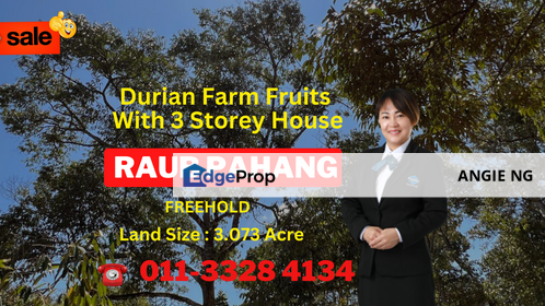 Durian Farm Fruits With 3 Storey House @ Ulu Dong Raub Pahang For Sale, Pahang, Raub