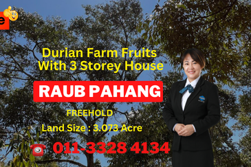 Durian Farm Fruits With 3 Storey House @ Ulu Dong Raub Pahang For Sale