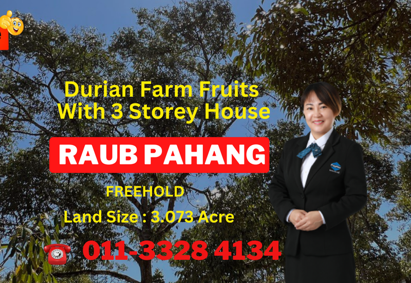 Durian Farm Fruits With 3 Storey House @ Ulu Dong Raub Pahang For Sale