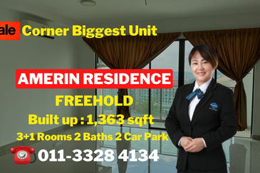Amerin Residence