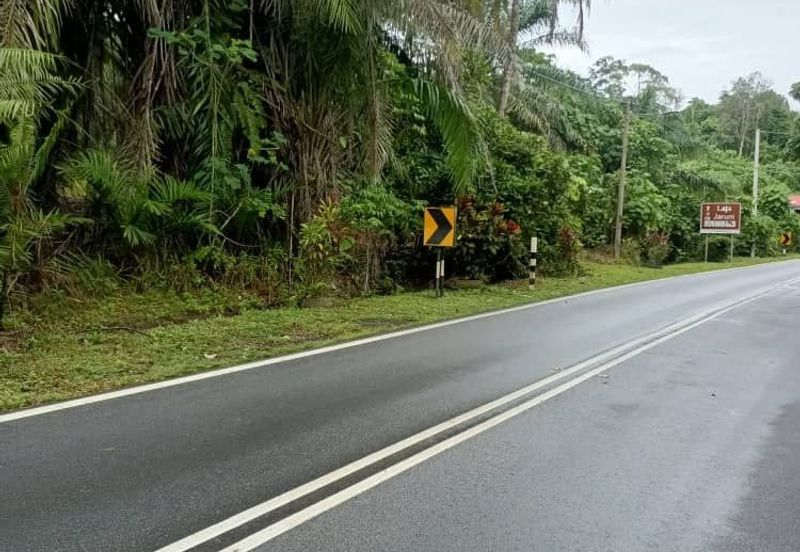 Raub Raub Pahang @ Malay Reserve Land For Sale