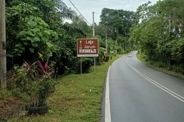 Raub Raub Pahang @ Malay Reserve Land For Sale