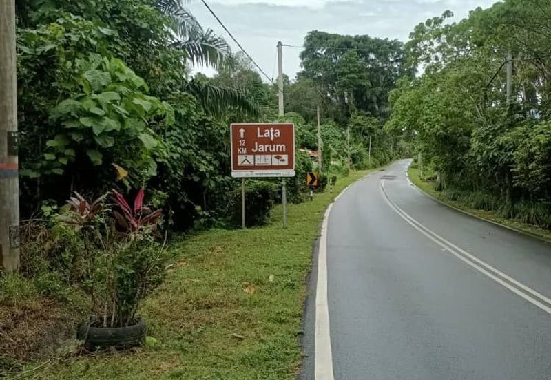 Raub Raub Pahang @ Malay Reserve Land For Sale