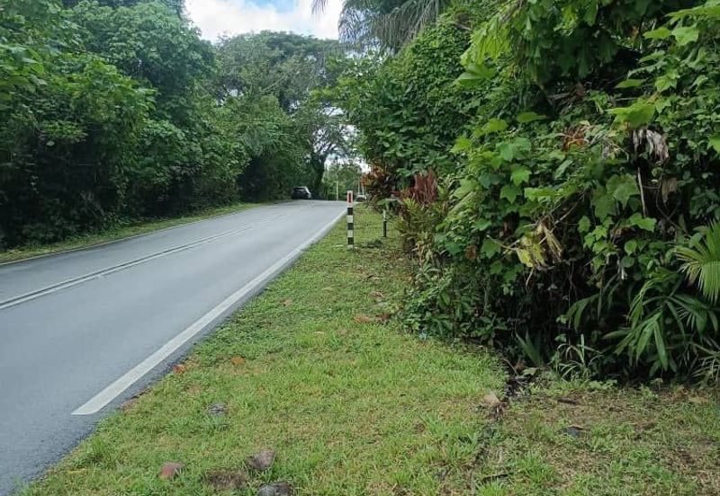 Raub Raub Pahang @ Malay Reserve Land For Sale