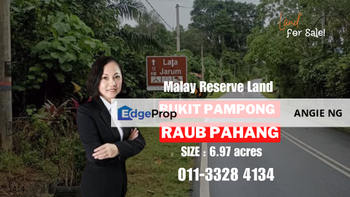 Raub Raub Pahang @ Malay Reserve Land For Sale, Pahang, Raub