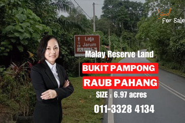 Raub Raub Pahang @ Malay Reserve Land For Sale