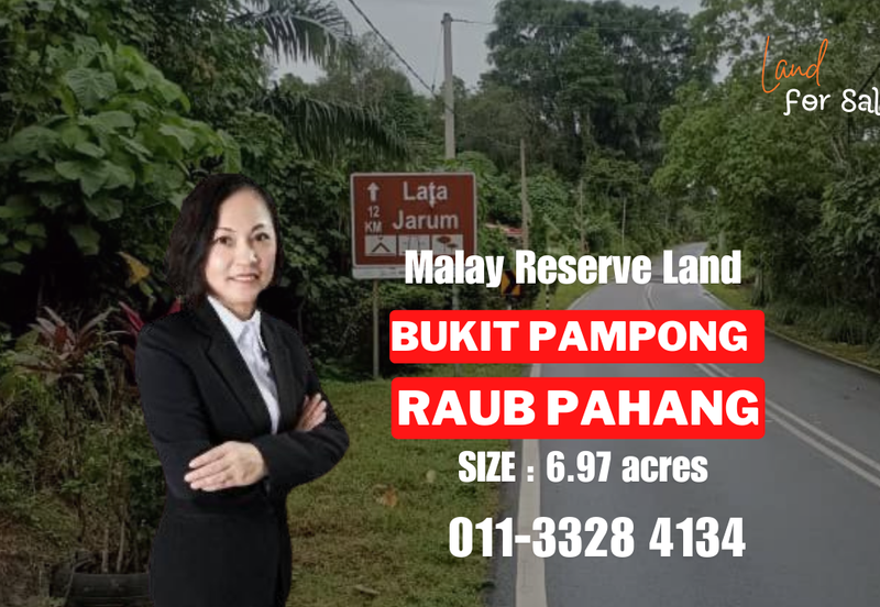 Raub Raub Pahang @ Malay Reserve Land For Sale