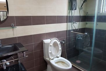 Evergreen Park Scot Pine