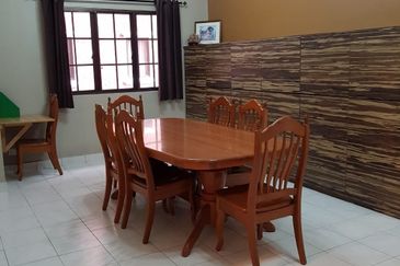 Evergreen Park Scot Pine