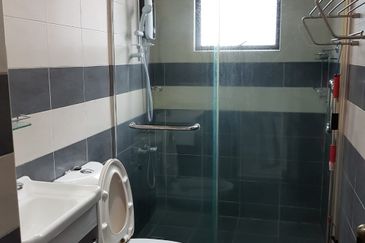 Evergreen Park Scot Pine