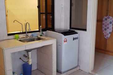 Evergreen Park Scot Pine