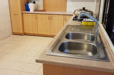 Evergreen Park Scot Pine