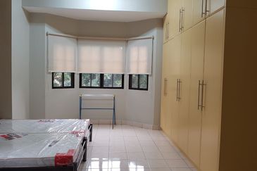 Evergreen Park Scot Pine