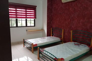 Evergreen Park Scot Pine