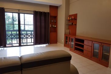 Evergreen Park Scot Pine