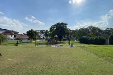 The Lotus of The Mines