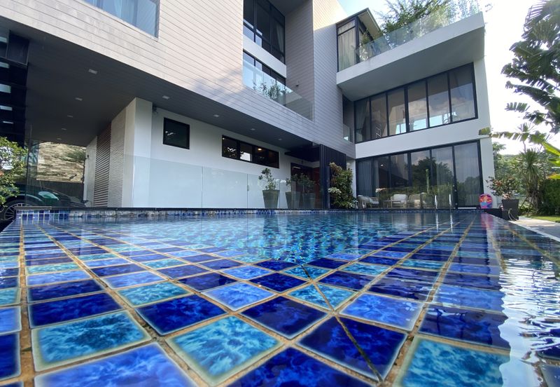 The Lotus of The Mines