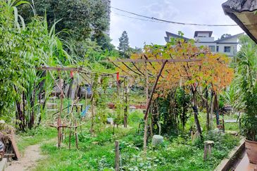 Taman Taynton (Taynton View)