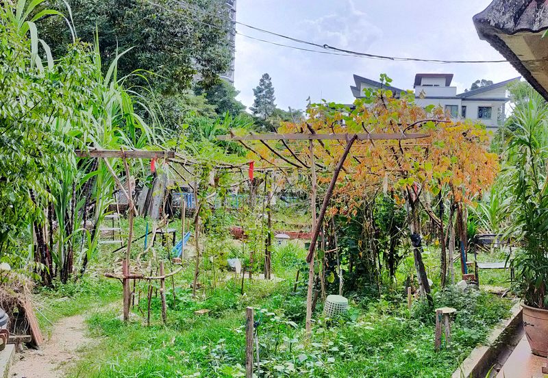 Taman Taynton (Taynton View)