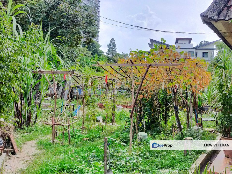 Taman Taynton (Taynton View) Cheras,Kuala Lumpur Single Storey Bungalow with big Land and Fruits Tree., Kuala Lumpur, Cheras