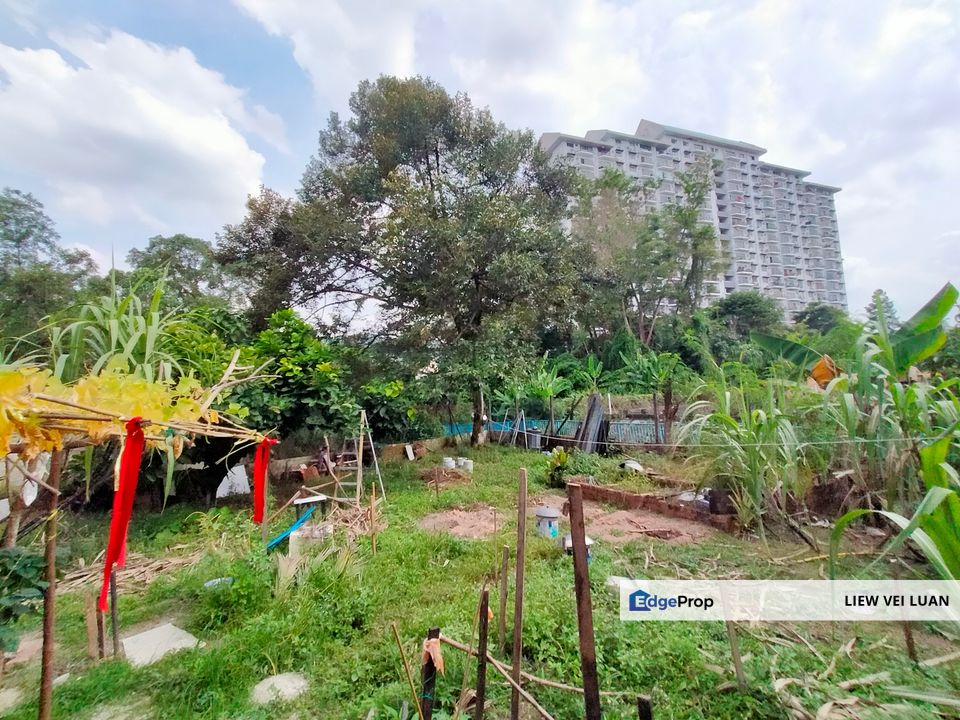 Taman Taynton (Taynton View) Cheras,Kuala Lumpur Single Storey Bungalow with big Land and Fruits Tree., Kuala Lumpur, Cheras