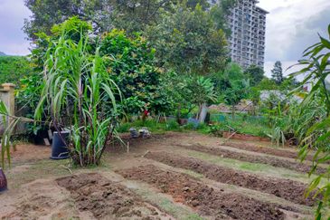 Taman Taynton (Taynton View)