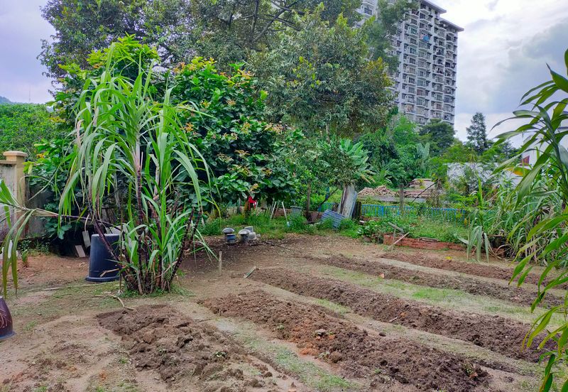 Taman Taynton (Taynton View)