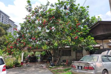 Taman Taynton (Taynton View)