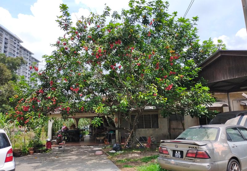 Taman Taynton (Taynton View)