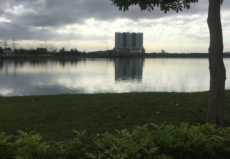 Lakeside view, Surrounded by Lush Blooms, Yet Close to the City