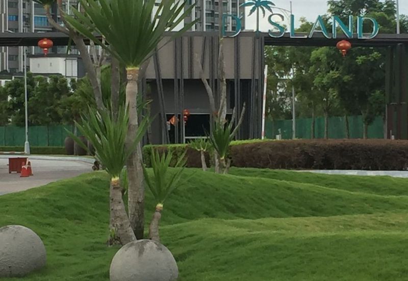 Lakeside view, Surrounded by Lush Blooms, Yet Close to the City