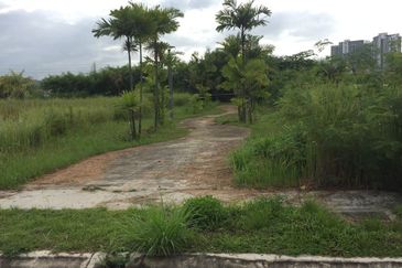 Lakeside view, Surrounded by Lush Blooms, Yet Close to the City