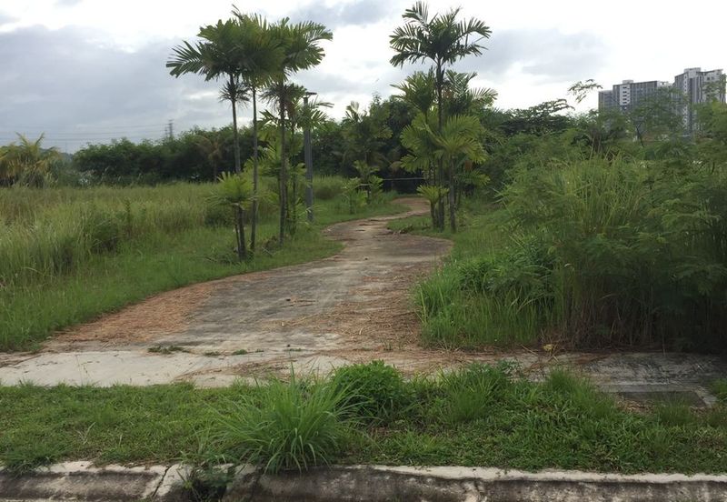 Lakeside view, Surrounded by Lush Blooms, Yet Close to the City